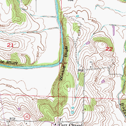 Topographic Map of Winkle Bluff, MO