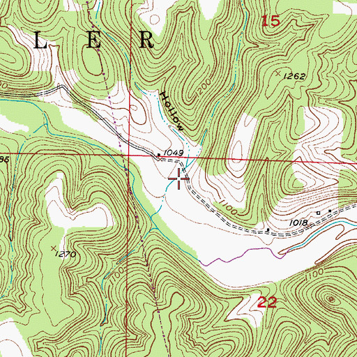 Topographic Map of Winkle Hollow, MO