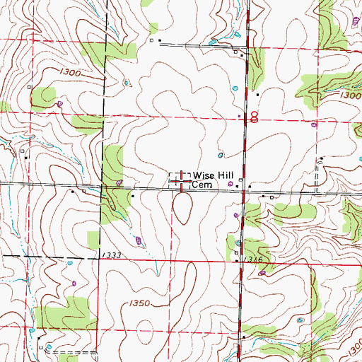 Topographic Map of Wise Hill Cemetery, MO