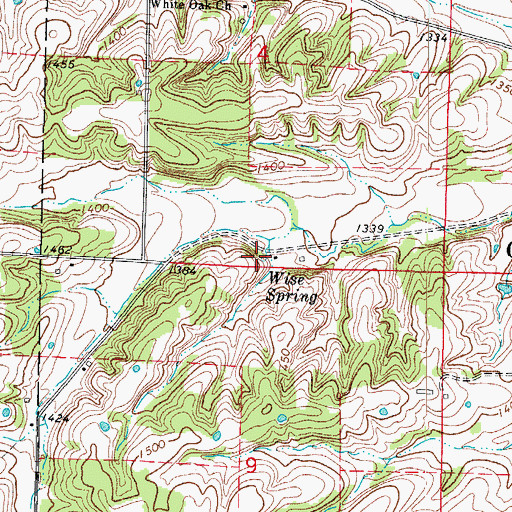Topographic Map of Wise Spring, MO
