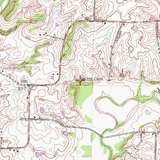Topographic Map of Witts Cemetery, MO