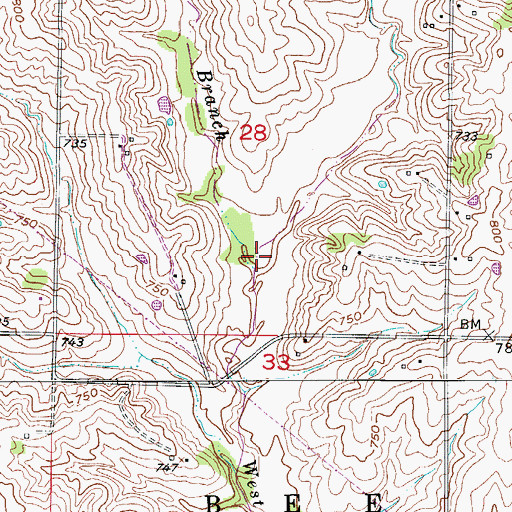 Topographic Map of Wolf Branch, MO