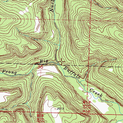 Topographic Map of Nuckles Creek, AR