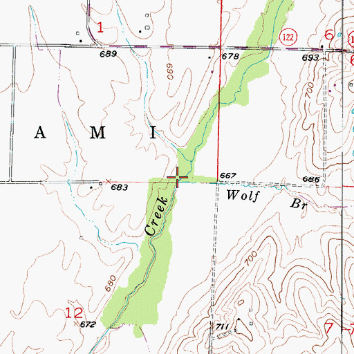 Topographic Map of Wolf Branch, MO