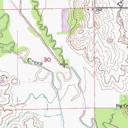 Topographic Map of Wolf Branch, MO