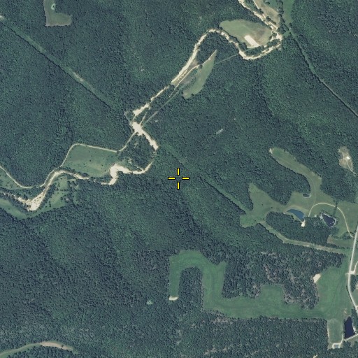 Aerial/Satellite Image of Wolf Den Hollow, MO