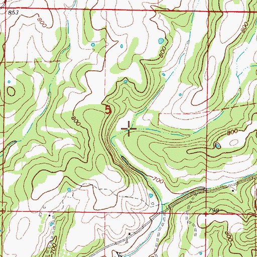 Topographic Map of Wolf Hollow, MO