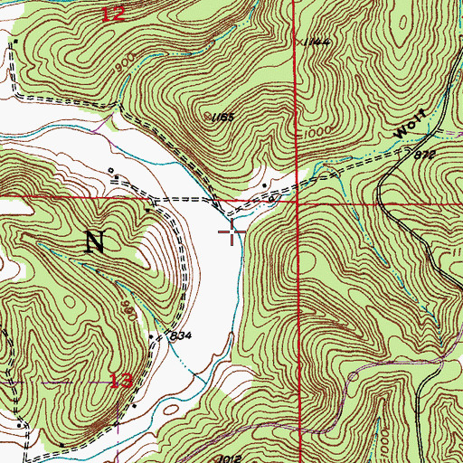 Topographic Map of Wolf Hollow, MO