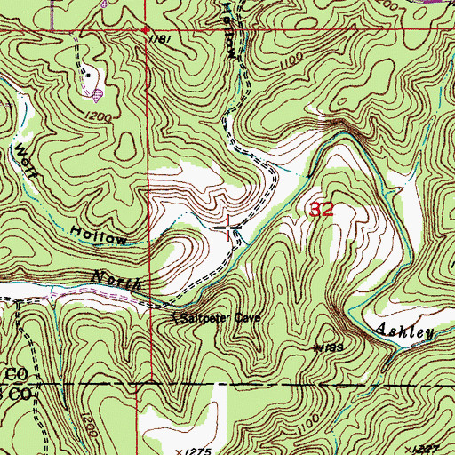 Topographic Map of Wolf Hollow, MO