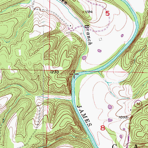 Topographic Map of Wolfden Branch, MO