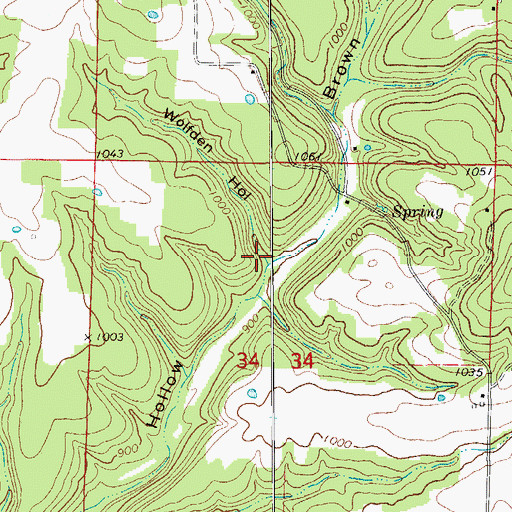 Topographic Map of Wolfden Hollow, MO