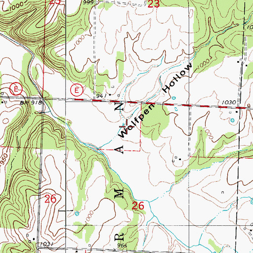 Topographic Map of Wolfpen Hollow, MO