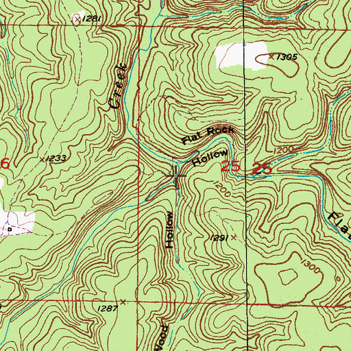 Topographic Map of Wood Hollow, MO