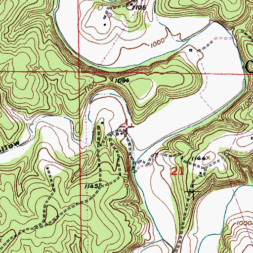 Topographic Map of Woodard Hollow, MO