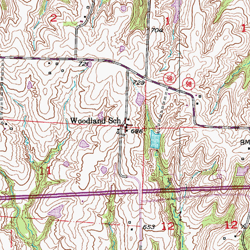 Topographic Map of Woodland School, MO