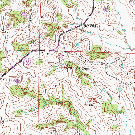Topographic Map of Woods Cemetery, MO