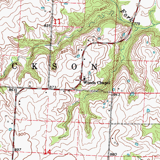 Topographic Map of Woods Chapel, MO