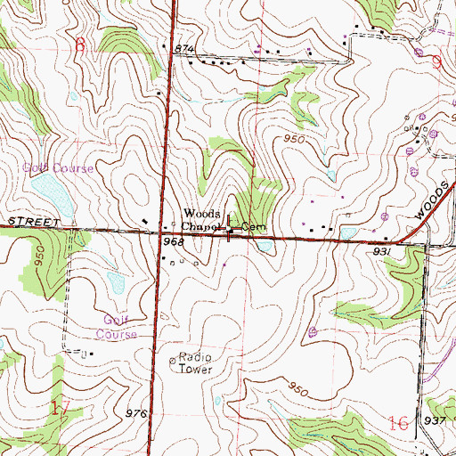 Topographic Map of Woods Chapel, MO