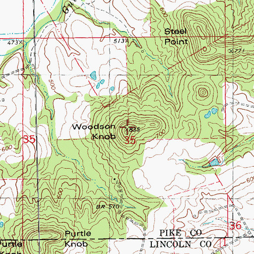 Topographic Map of Woodson Knob, MO