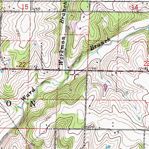 Topographic Map of Workman Branch, MO