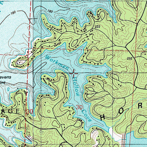 Topographic Map of Workmen Hollow Cove, MO