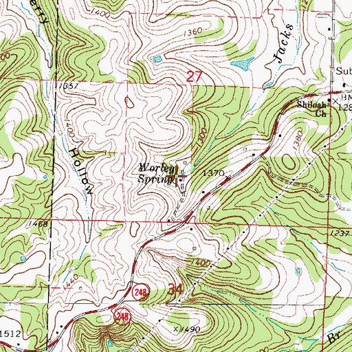 Topographic Map of Worley Spring, MO
