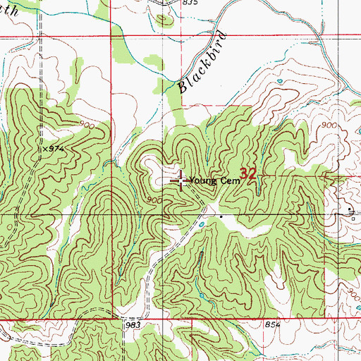 Topographic Map of Young Cemetery, MO