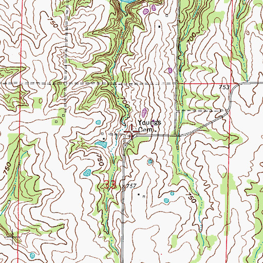 Topographic Map of Youngs Cemetery, MO