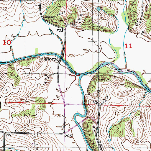 Topographic Map of Burris Fork, MO