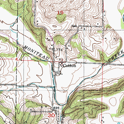 Topographic Map of Cotton, MO