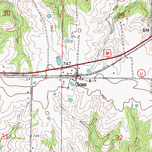 Topographic Map of Goss, MO