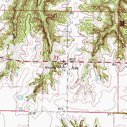 Topographic Map of Hickory Grove Church, MO