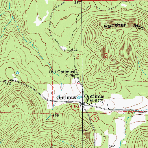 Topographic Map of Old Optimus Cemetery, AR