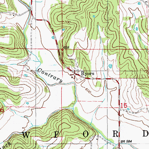Topographic Map of Ryors, MO