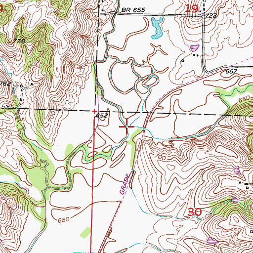 Topographic Map of Salt Fork, MO