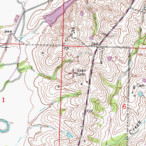 Topographic Map of Snell Cemetery, MO