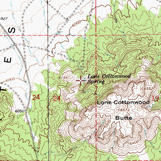 Topographic Map of Lone Cottonwood Spring, AZ