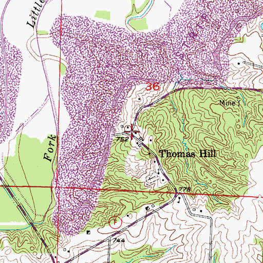 Topographic Map of Thomas Hill, MO