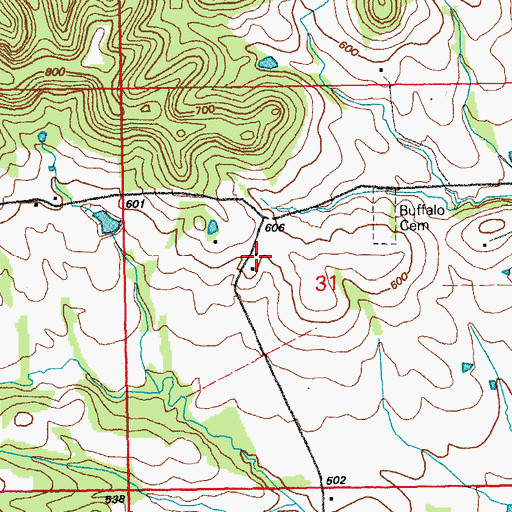 Topographic Map of Buffalo Church, MO