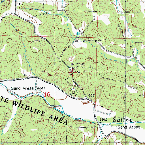 Topographic Map of Central Church, MO