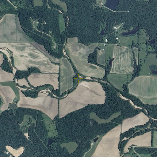 Aerial/Satellite Image of Fonso Branch, MO