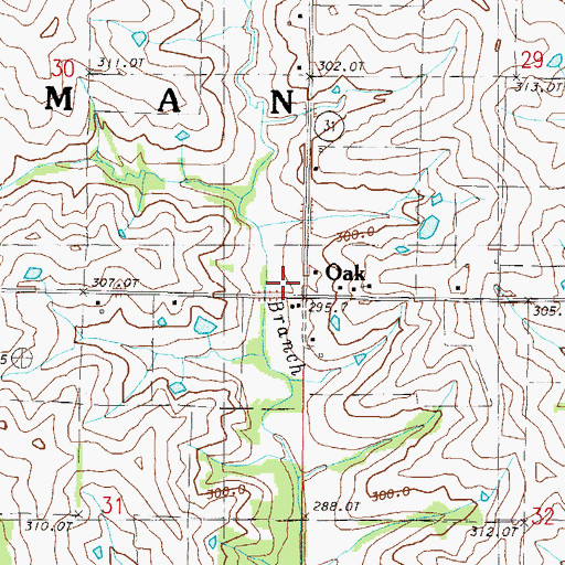Topographic Map of Oak, MO