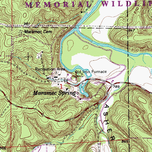 Topographic Map of Old Iron Furnace, MO