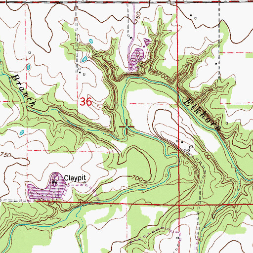 Topographic Map of Opossum Branch, MO