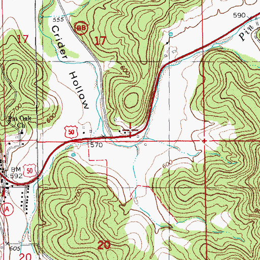 Topographic Map of Wiggins School, MO