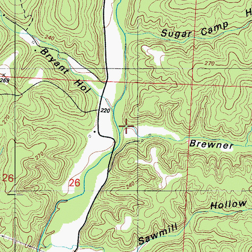 Topographic Map of Brewner Hollow, MO