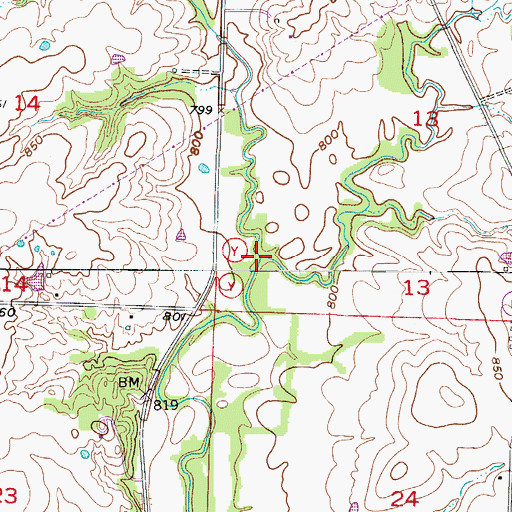 Topographic Map of Elm Branch, MO