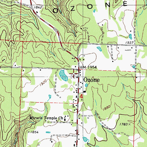 Topographic Map of Ozone, AR