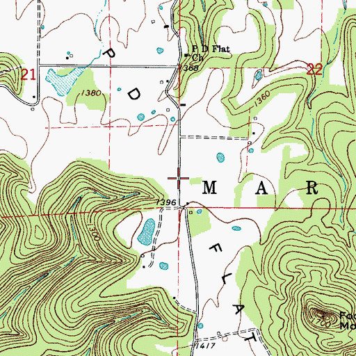Topographic Map of P D Flat, AR