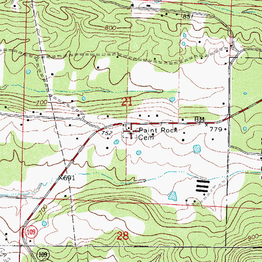 Topographic Map of Paint Rock Cemetery, AR